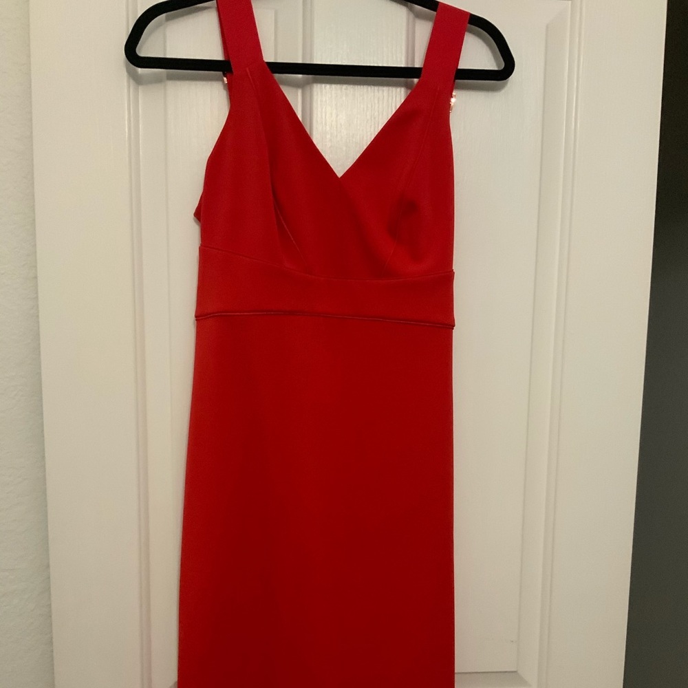 Ted Baker dress
